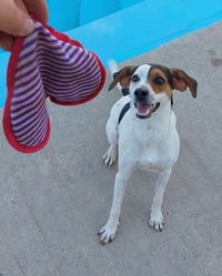 Lenny - Photo 1
