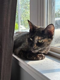 Cleo - Photo 3