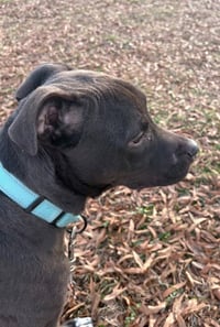Luke - Photo 4
