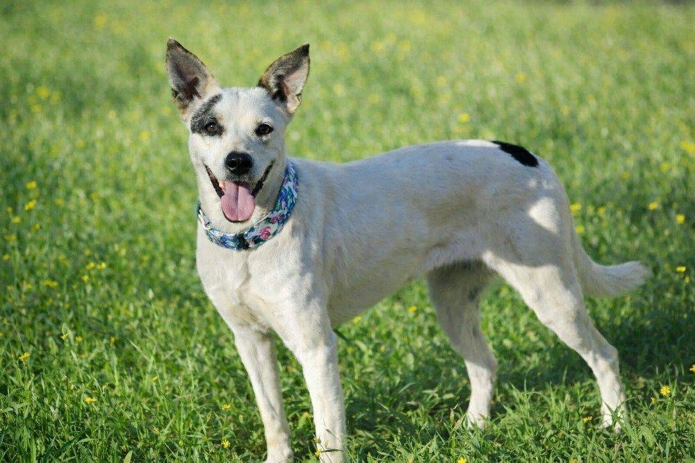 Ethel Mae Image
