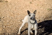 Ethel Mae - Photo 4