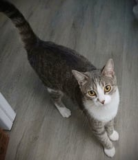 Spanky - Photo 1