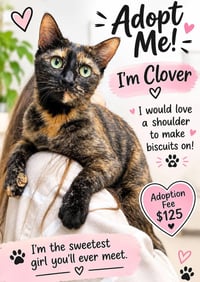 Clover - Photo 1