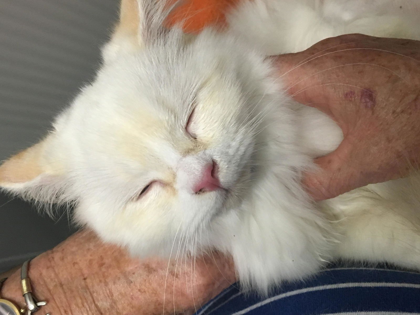 Bailey  & Barnum - Photo 3