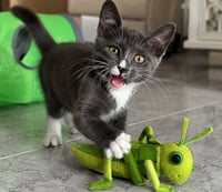 Ripley - Photo 2