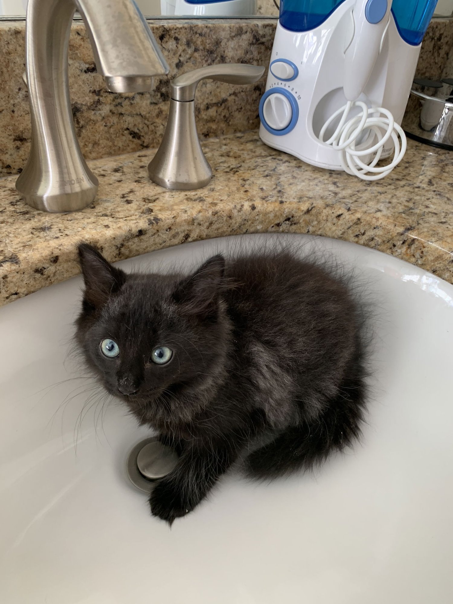 Maja and Tayla - Photo 3