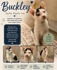 Buckley - Photo 1