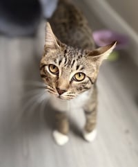 Wally - Photo 1