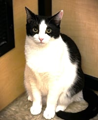 Esmee - Photo 1