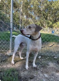Bob Jr. - Photo 1