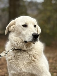 Doug - Photo 2