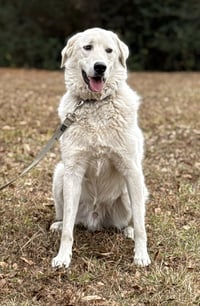 Doug - Photo 3