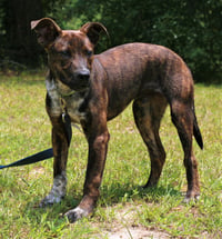 John Boy - Photo 3