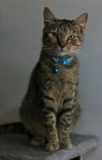 Estella - Photo 5