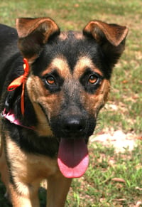 Verity - Photo 1
