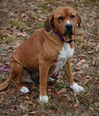 Hannah - Photo 4