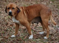 Hannah - Photo 5