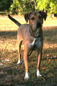 Nora - Photo 1