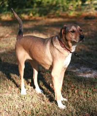 Nora - Photo 3