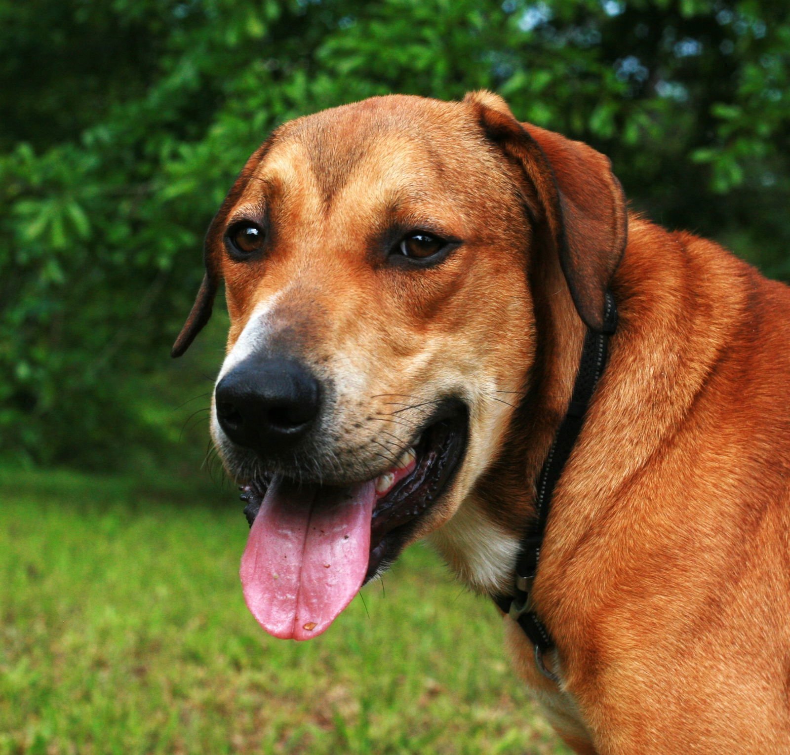 Oscar - Photo 3