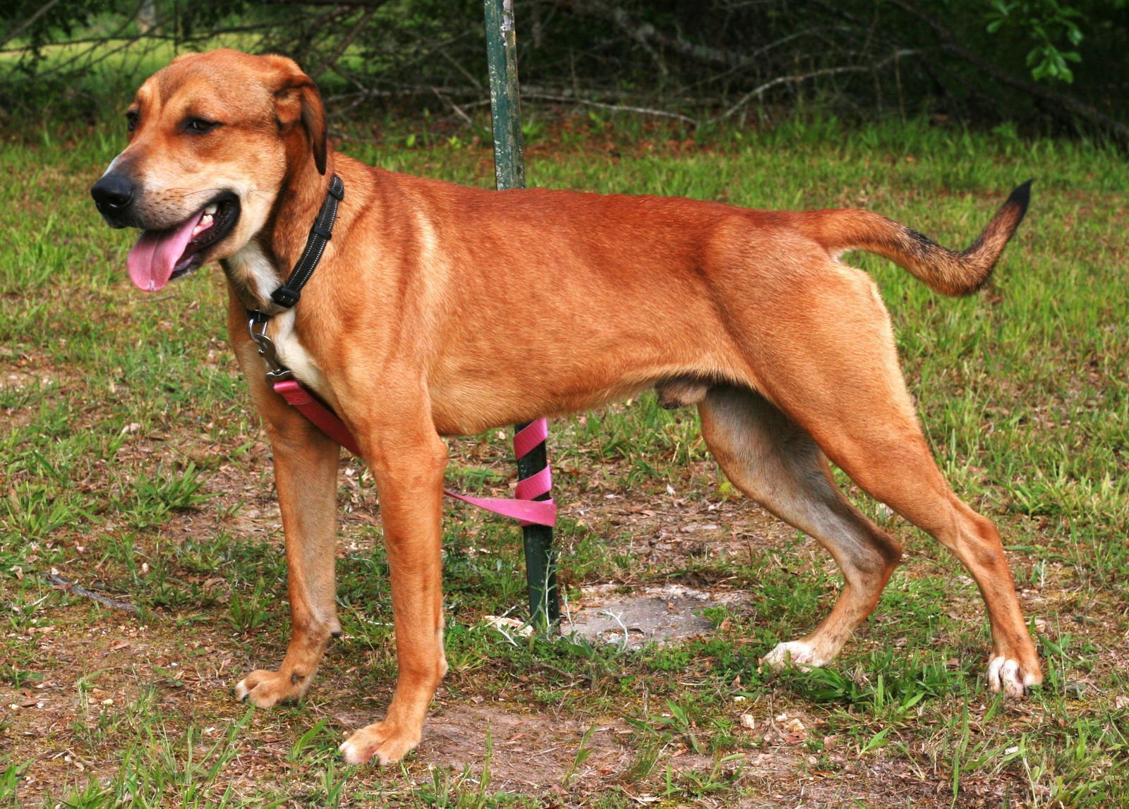 Oscar - Photo 4