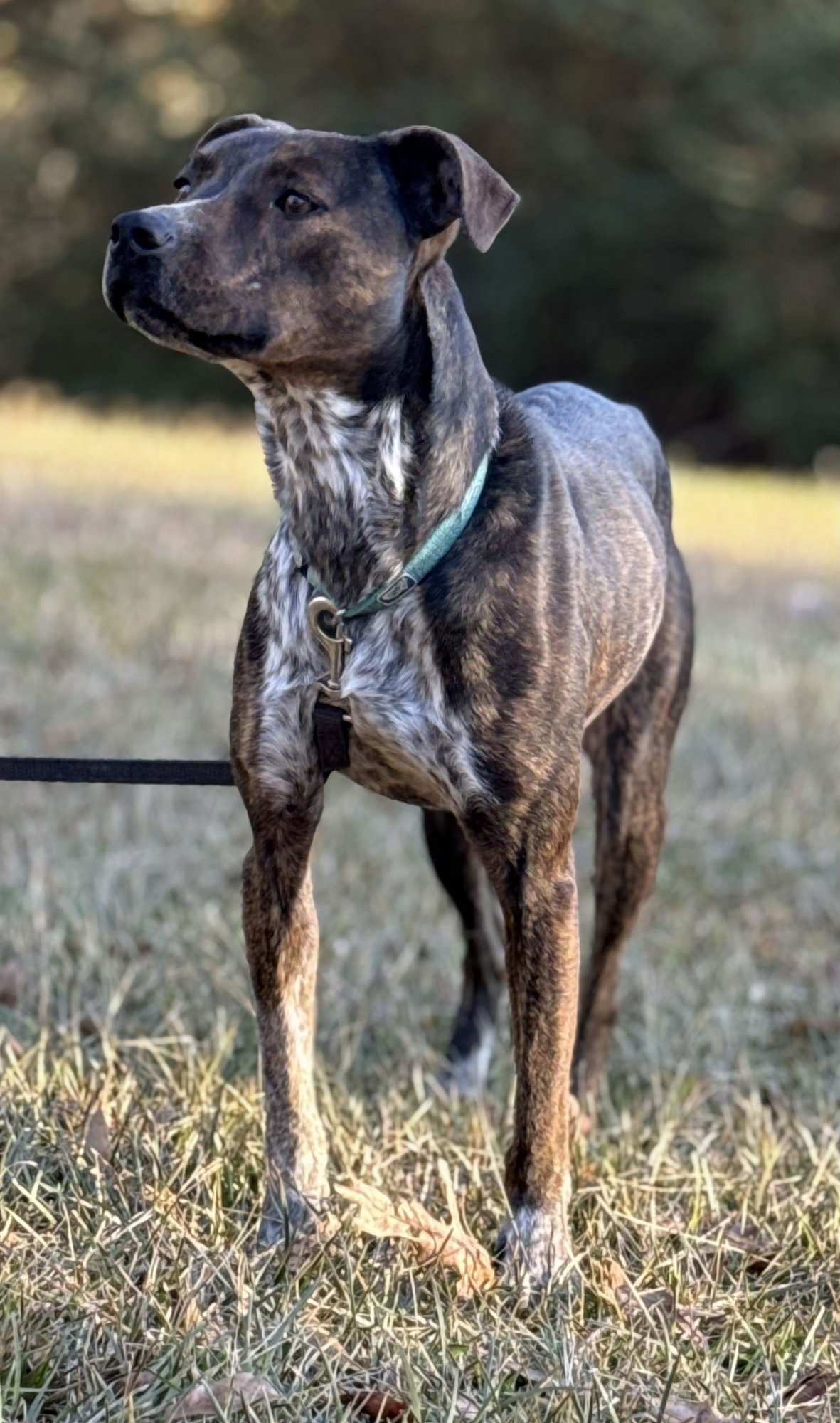 Mary Ellen - Photo 4