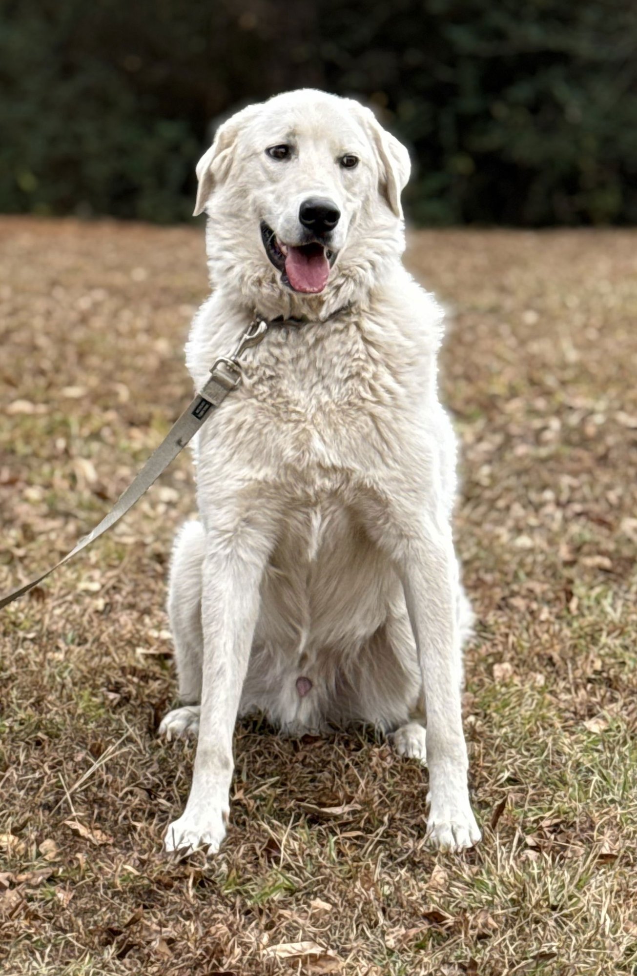 Doug - Photo 3