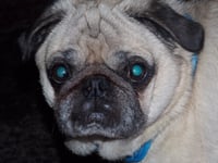 Marty - Photo 2