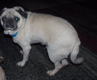 Marty - Photo 4