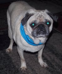 Marty - Photo 1