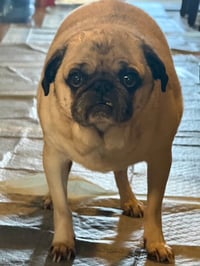 Marty - Photo 3