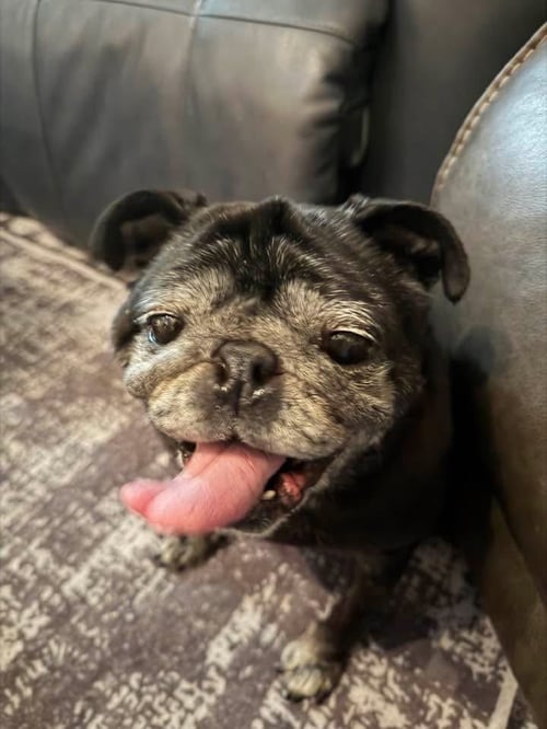DELILAH