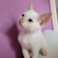 Carl - Photo 4