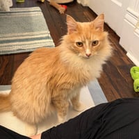 Chance - Photo 4