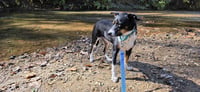 Chance - Photo 3