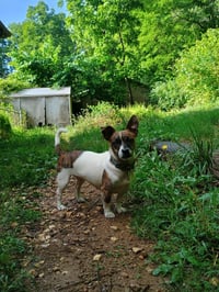 Candy - Photo 3