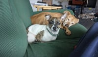 Candy - Photo 4