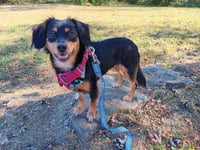 Winnie - Photo 2
