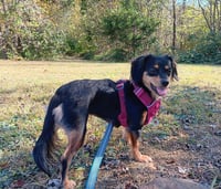 Winnie - Photo 3