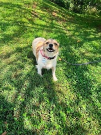 Layla - Photo 3