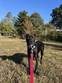 Chex - Photo 3
