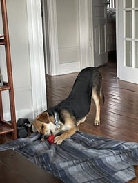 Bones - Photo 2