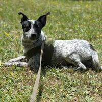 Numa - Photo 4