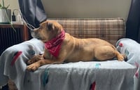 Gretchen - Photo 4