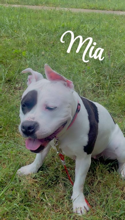 Mia Image