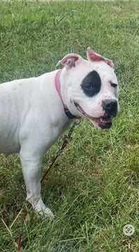Mia - Photo 3