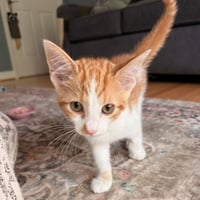 Wilmont - Photo 1