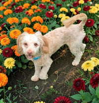 Marley P - Photo 2