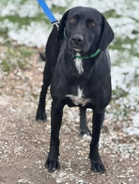 Mabel - Photo 3
