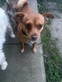 Tilly - Photo 3